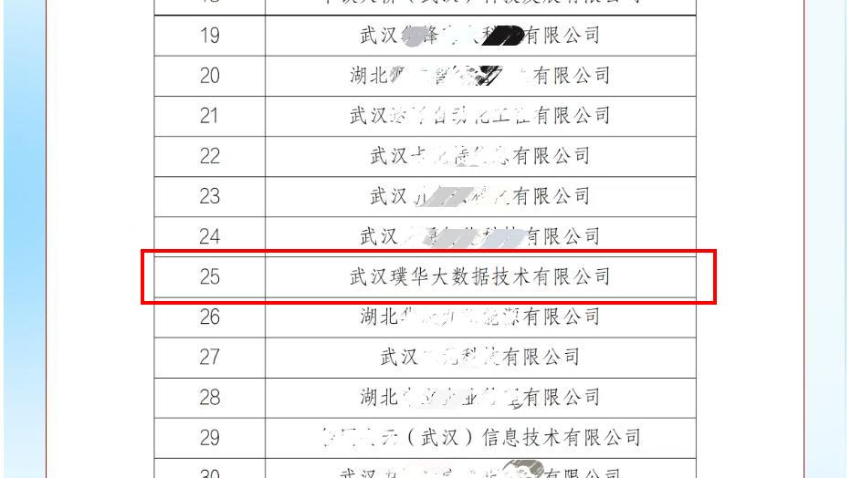 第二批企业名单中武汉璞华大数据技术有限公司的入选信息