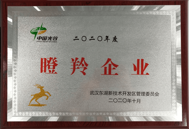 瞪羚企业
