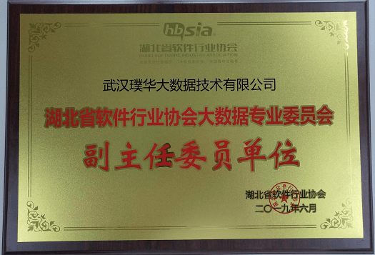 湖北省软协大数据专业委员会副主任委员单位